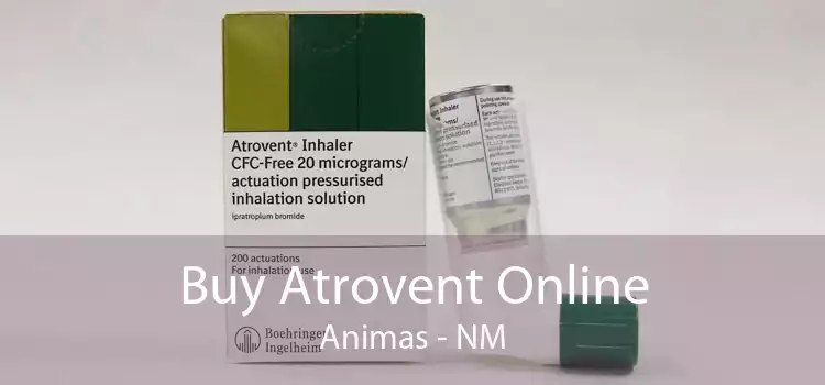 Buy Atrovent Online Animas - NM