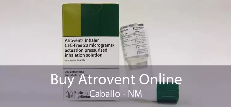 Buy Atrovent Online Caballo - NM